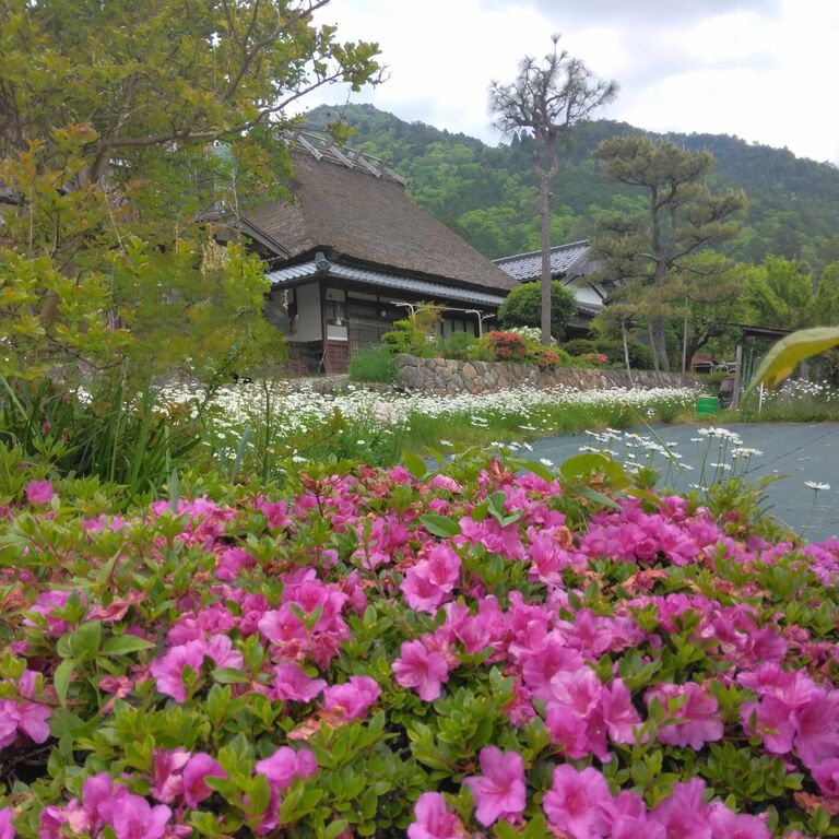 Kyoto Arashiyama hidden tour
