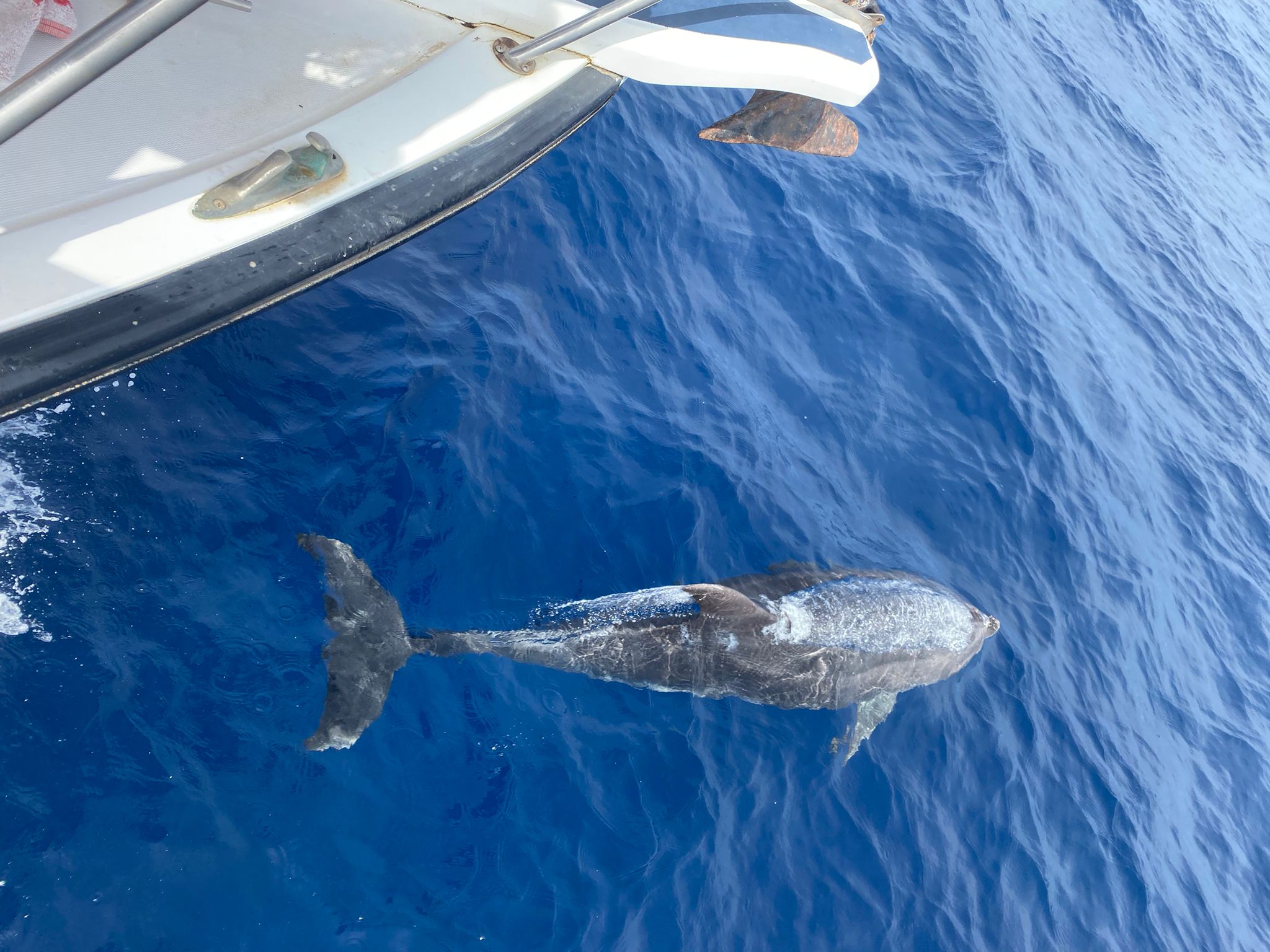 Faustino Afonso González