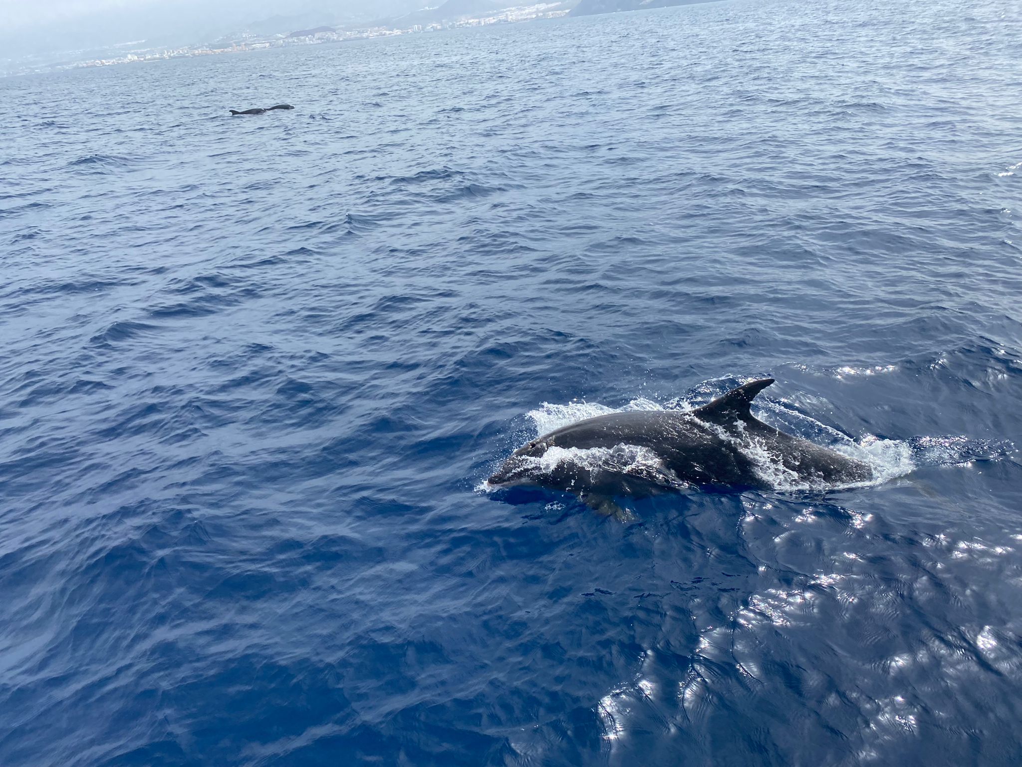 Faustino Afonso González