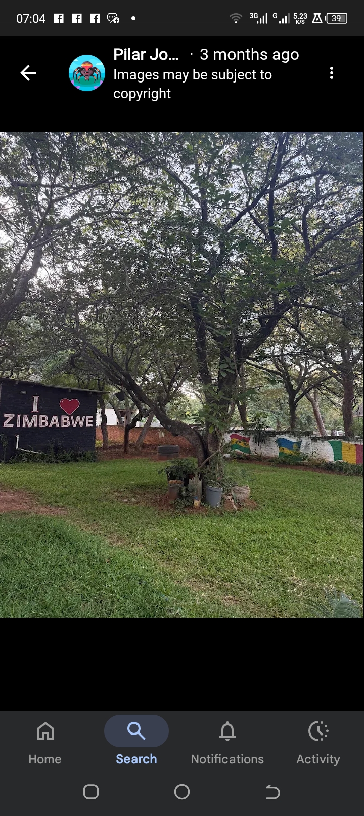 Nyota Zimbabwean Cuisine