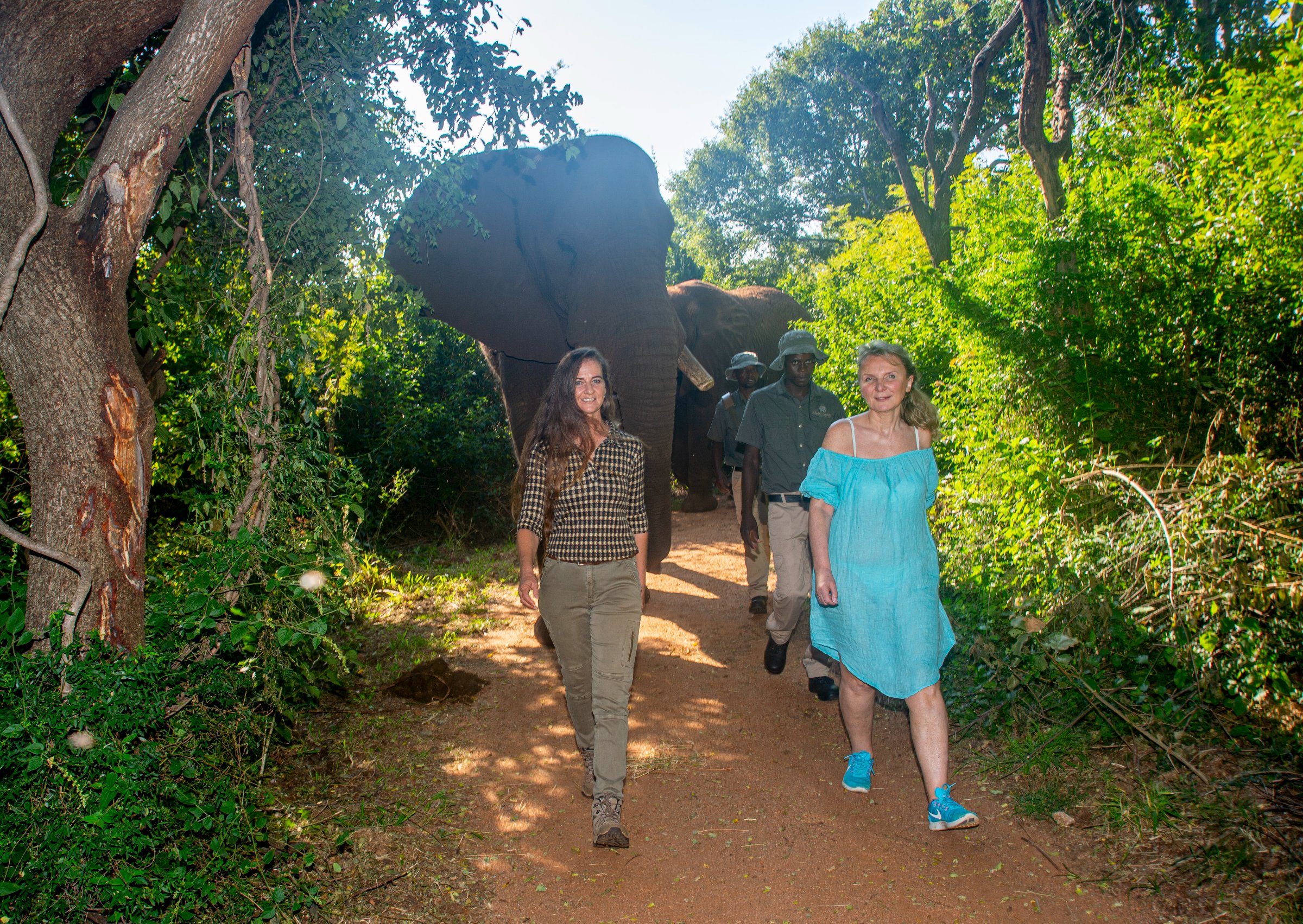 The Elephant Sanctuary