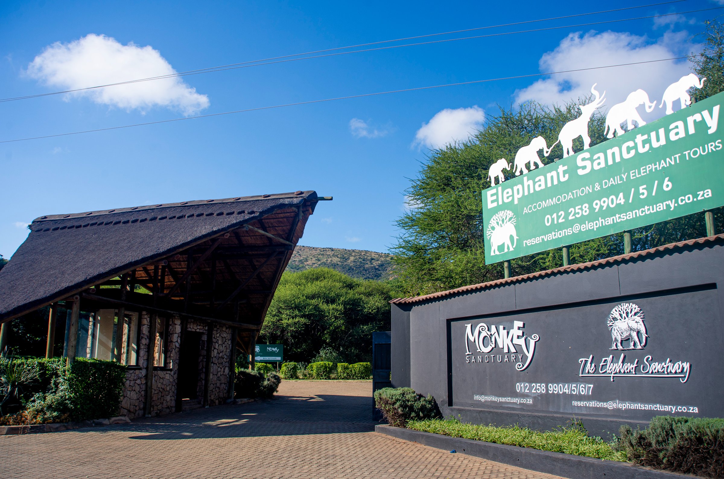 The Elephant Sanctuary