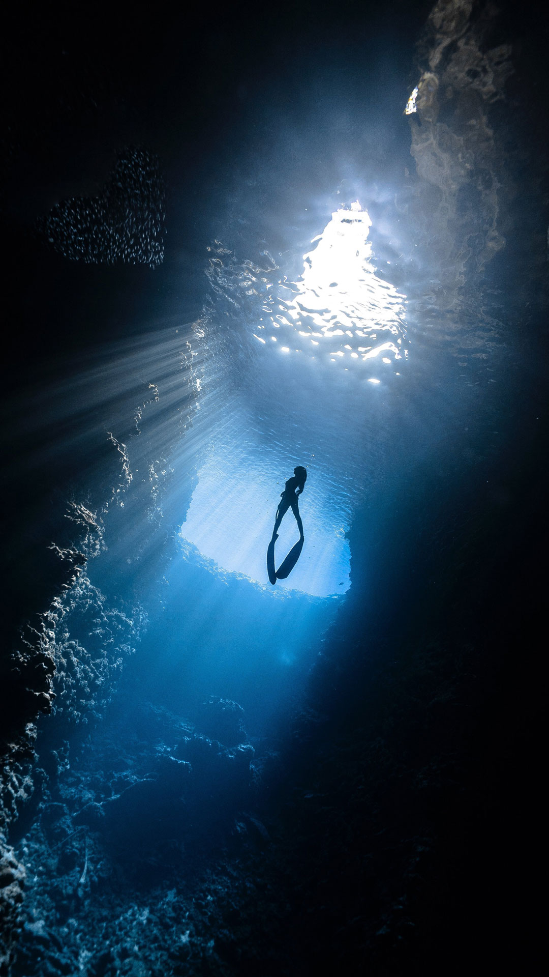 Freediving Cruises