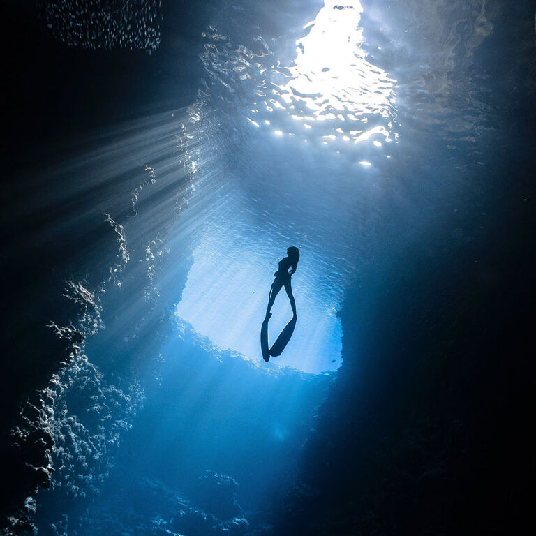 Freediving Cruises