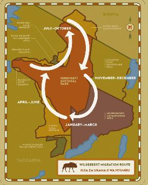 LASI TOURS AND SAFARIS