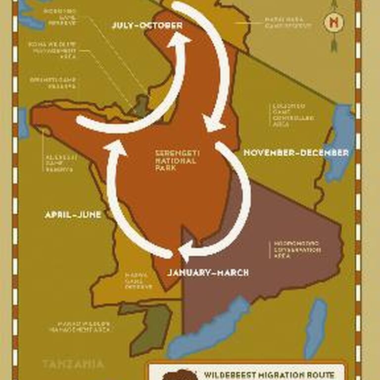 LASI TOURS AND SAFARIS