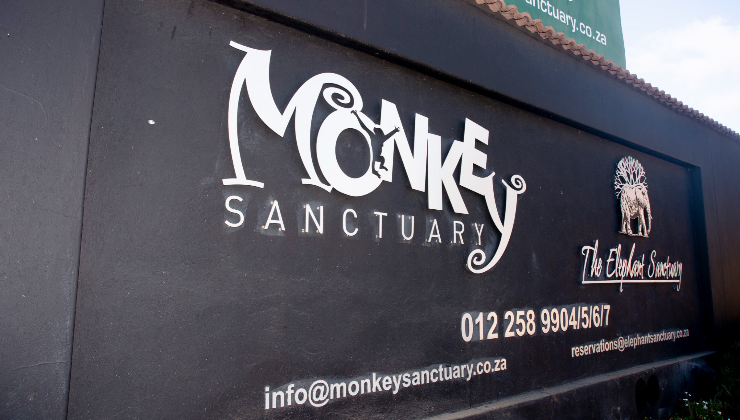 The Monkey Sanctuary