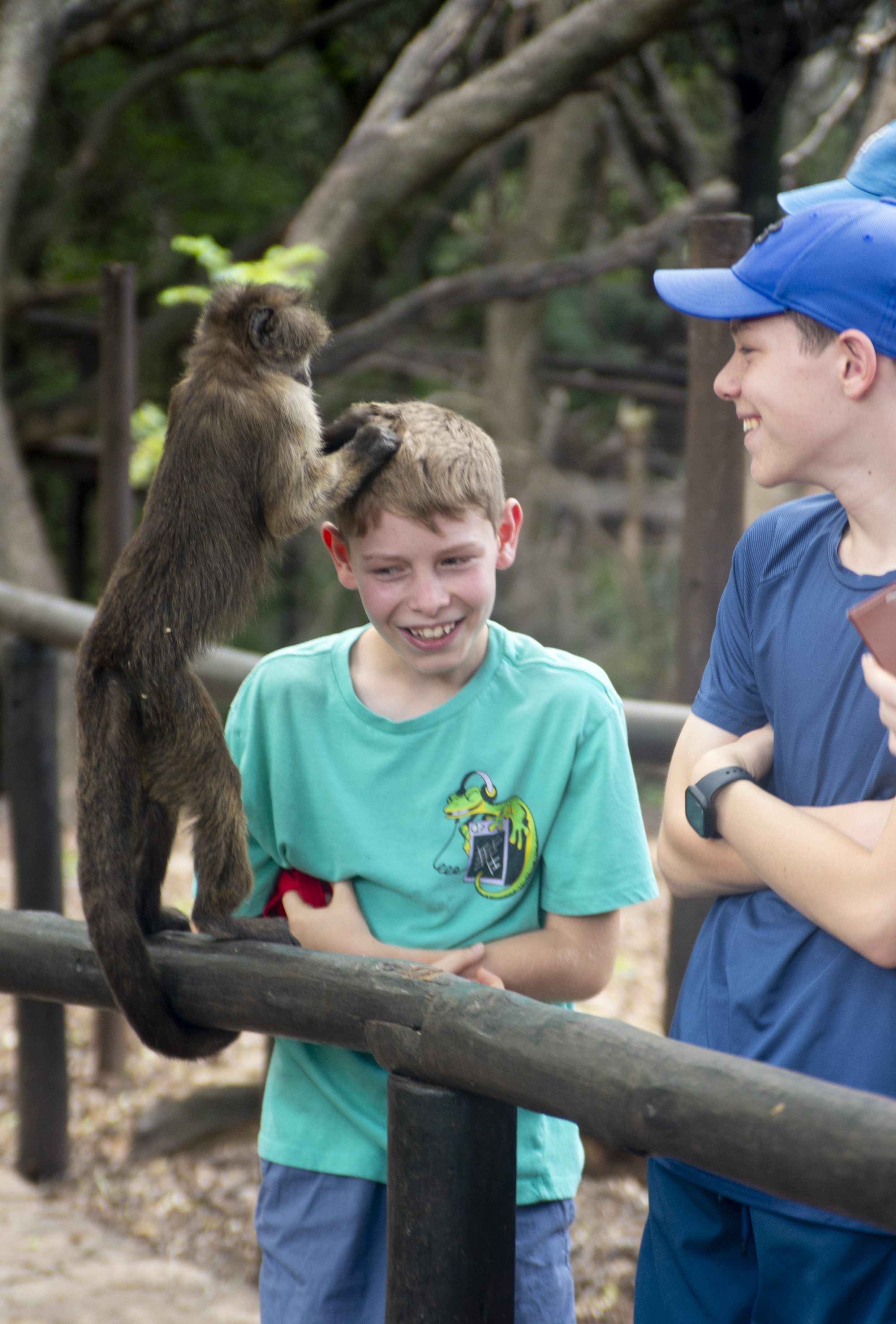 The Monkey Sanctuary