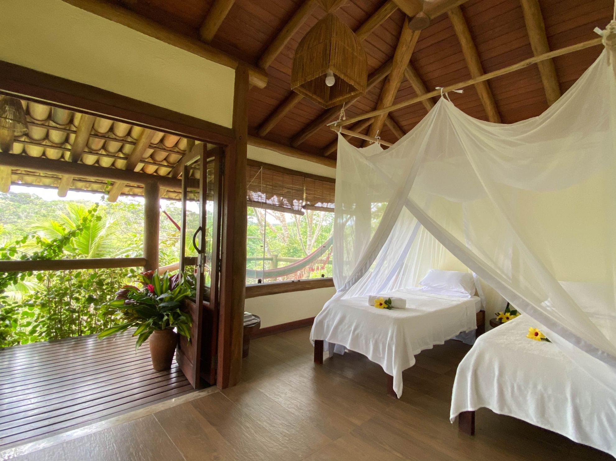 Spirit Vine Ayahuasca Retreats