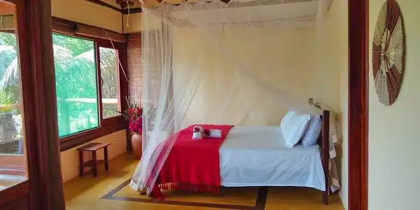 Spirit Vine Ayahuasca Retreats