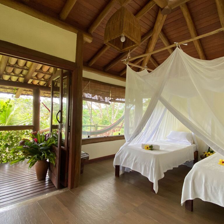 Spirit Vine Ayahuasca Retreats