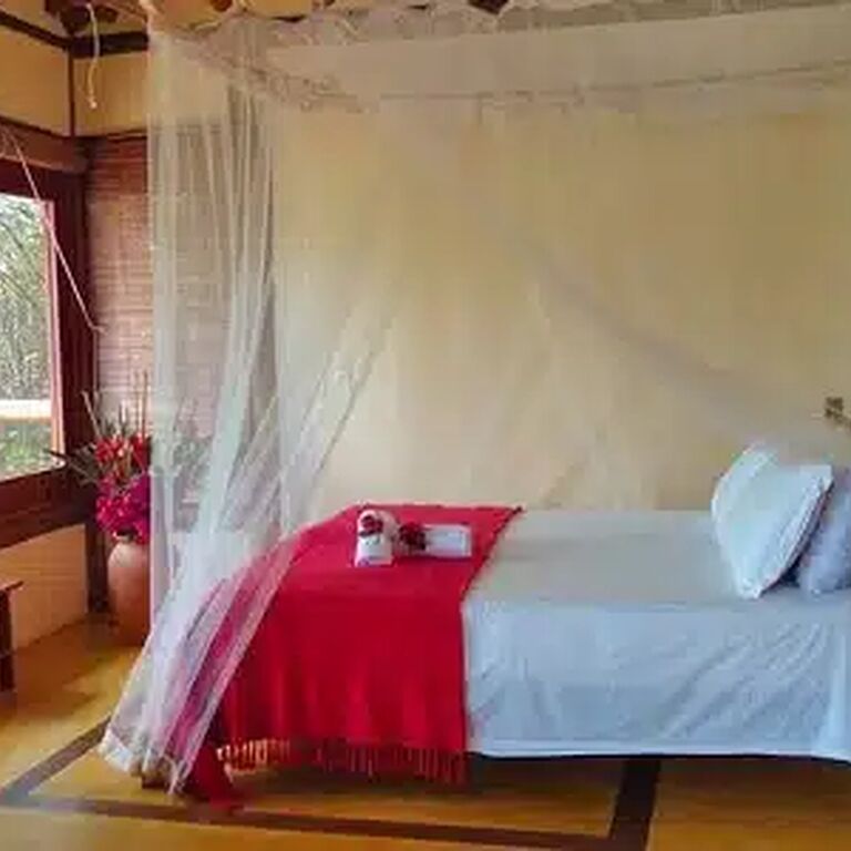 Spirit Vine Ayahuasca Retreats