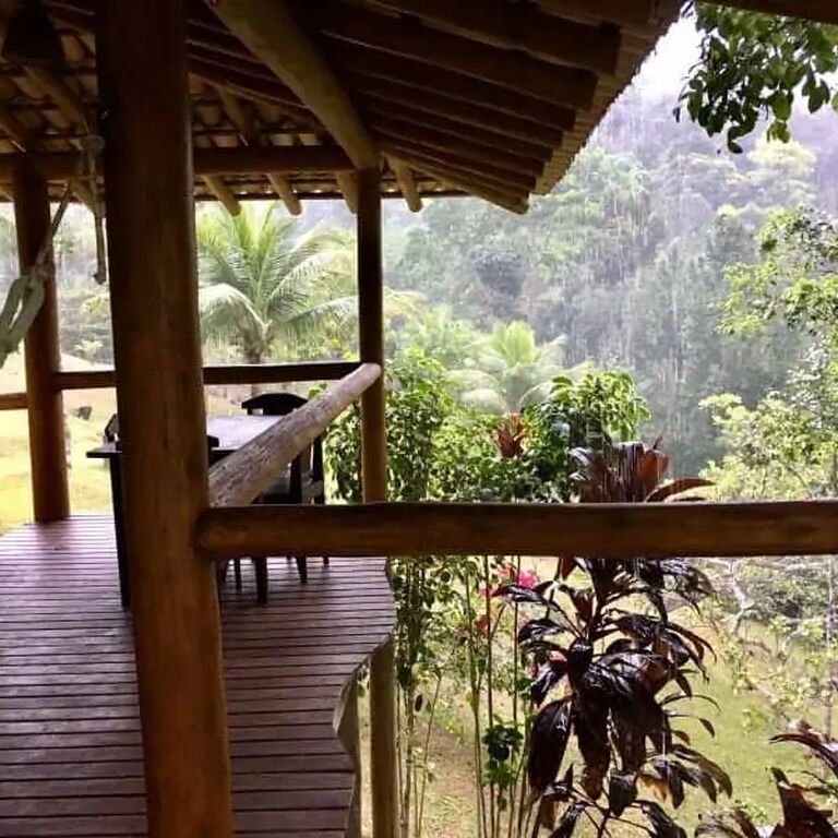 Spirit Vine Ayahuasca Retreats