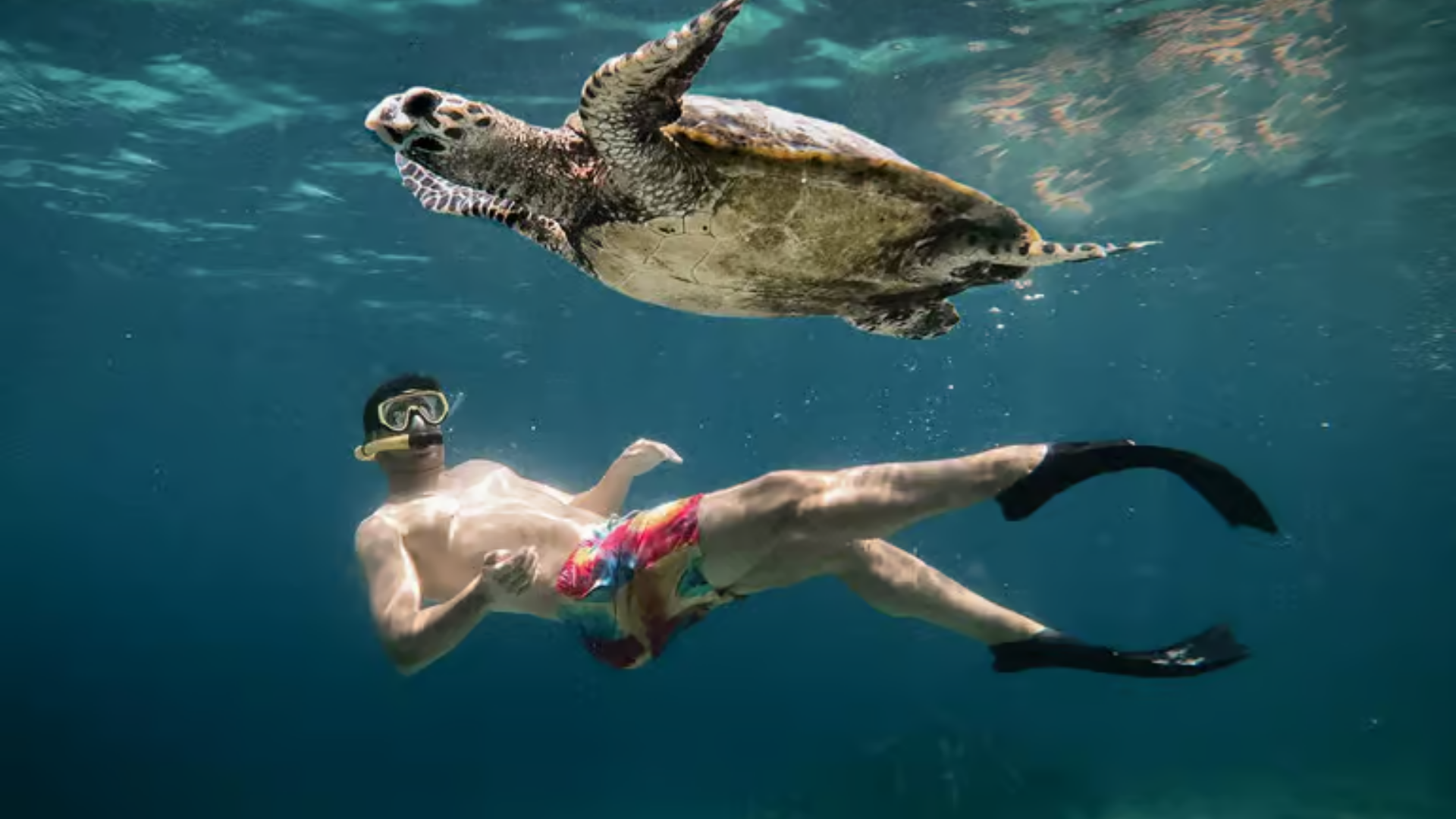 NUSA PENIDA TREM BALI