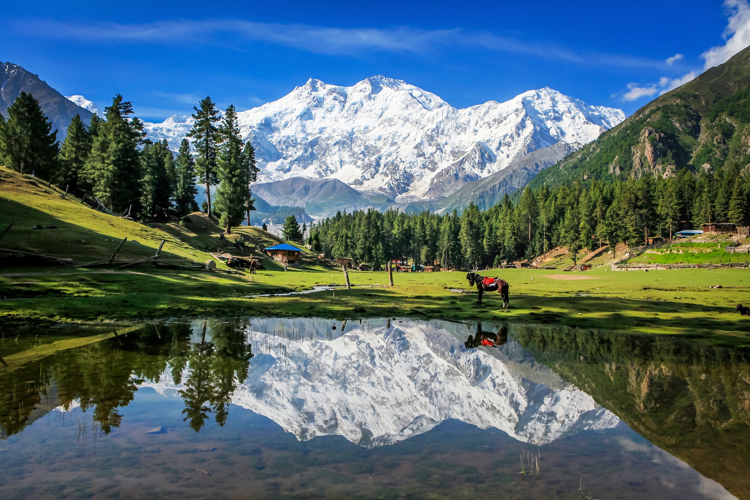 Discover Pakistan