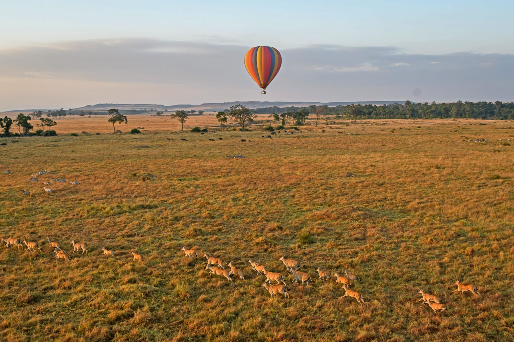 Kairi Tours & Safaris