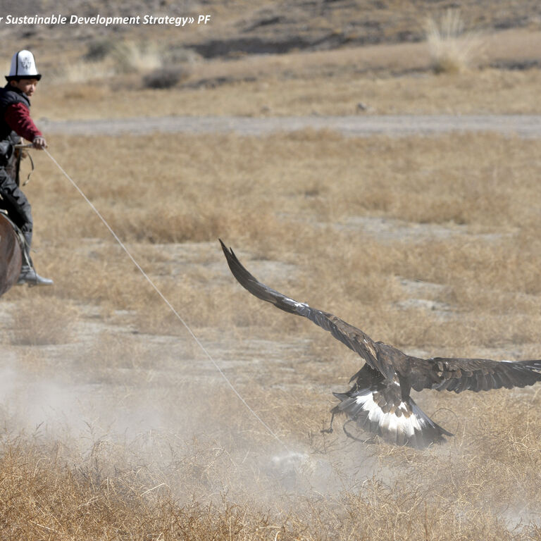 KYRGYZ GUIDED TOURS