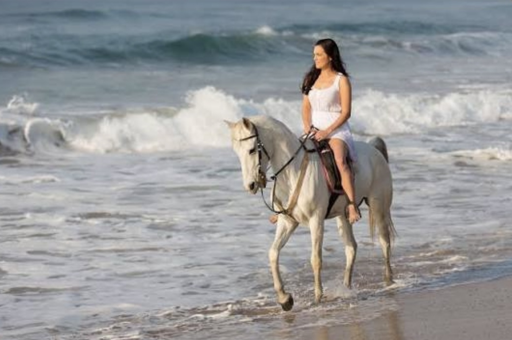 Tour Activity Bali
