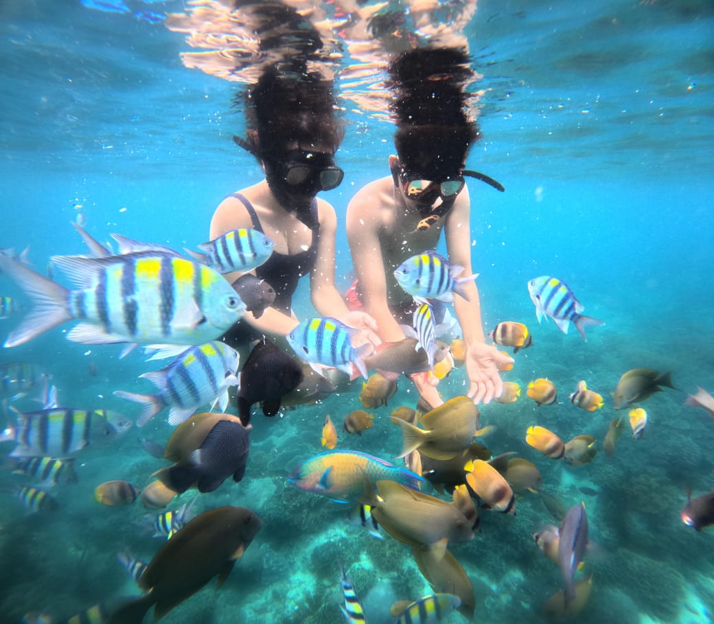 Tour Activity Bali