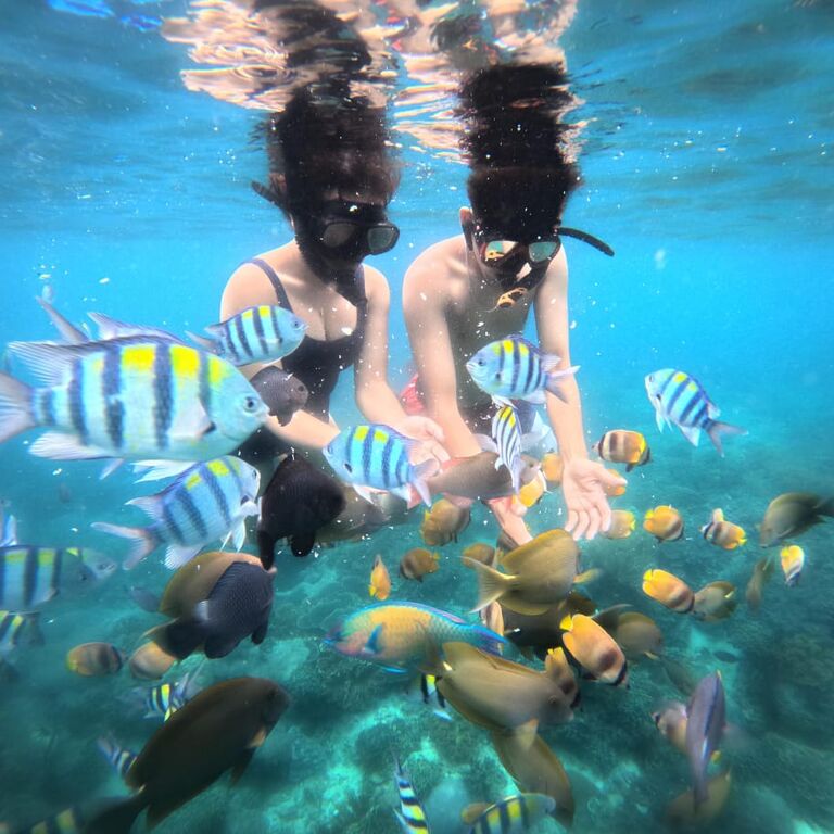 Tour Activity Bali