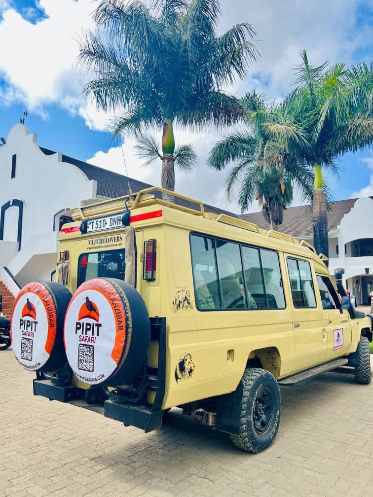Pipit Tours and Safaris