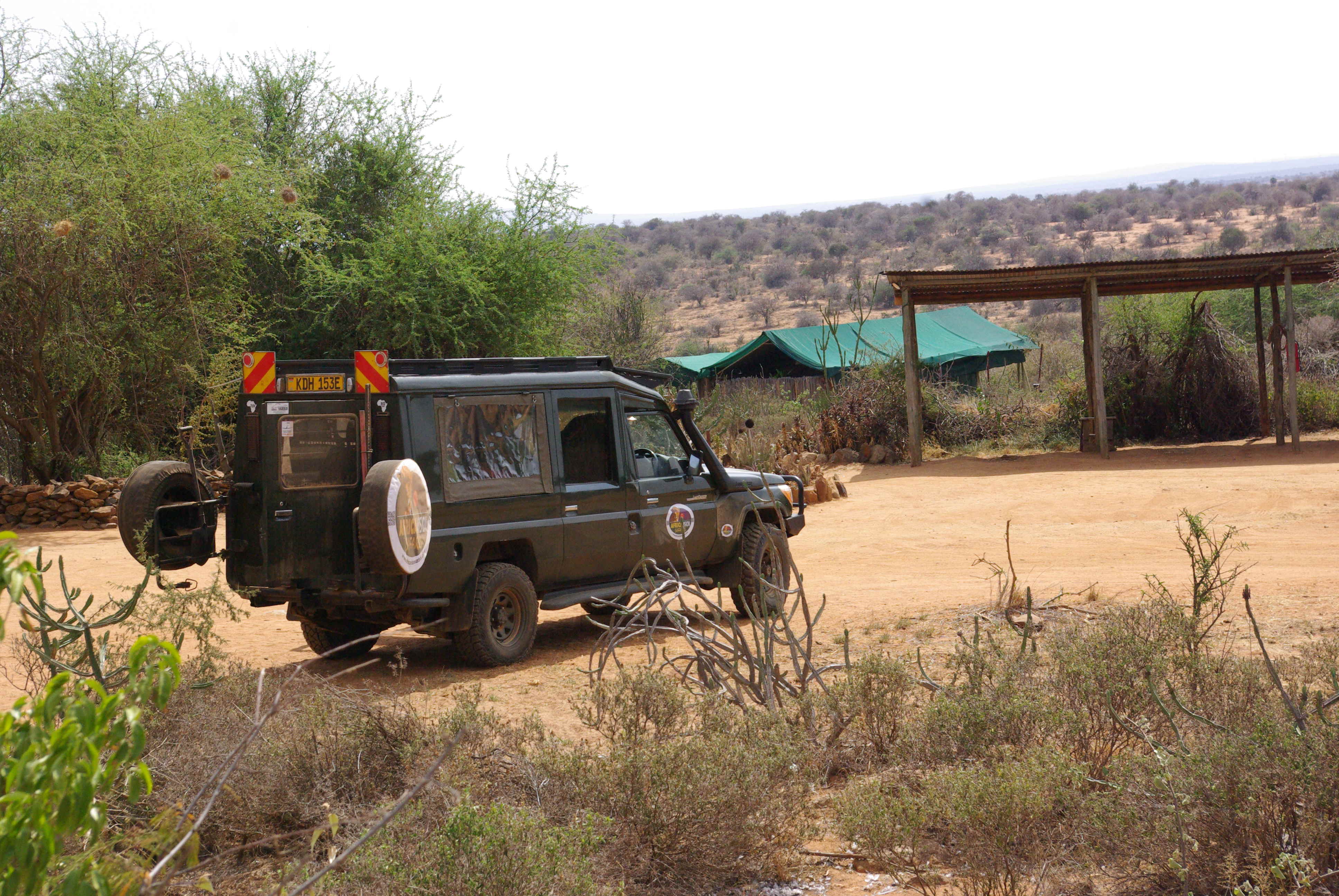 Africa vision safari