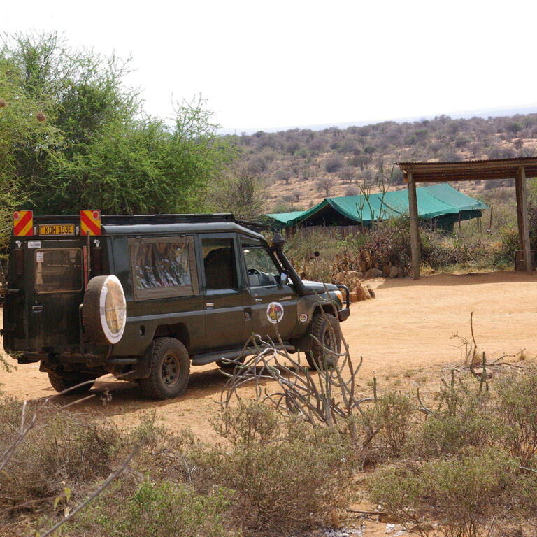 Africa vision safari