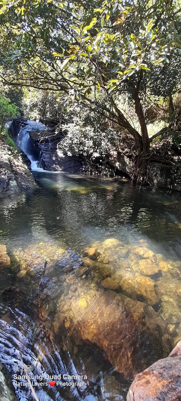 River Song Eco Lodge