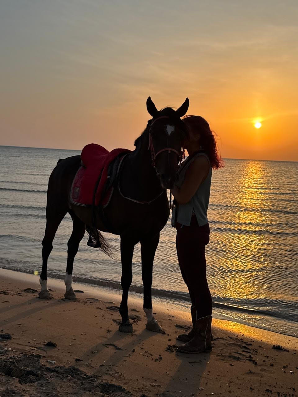 Lucky Horses Stable at Hurghada