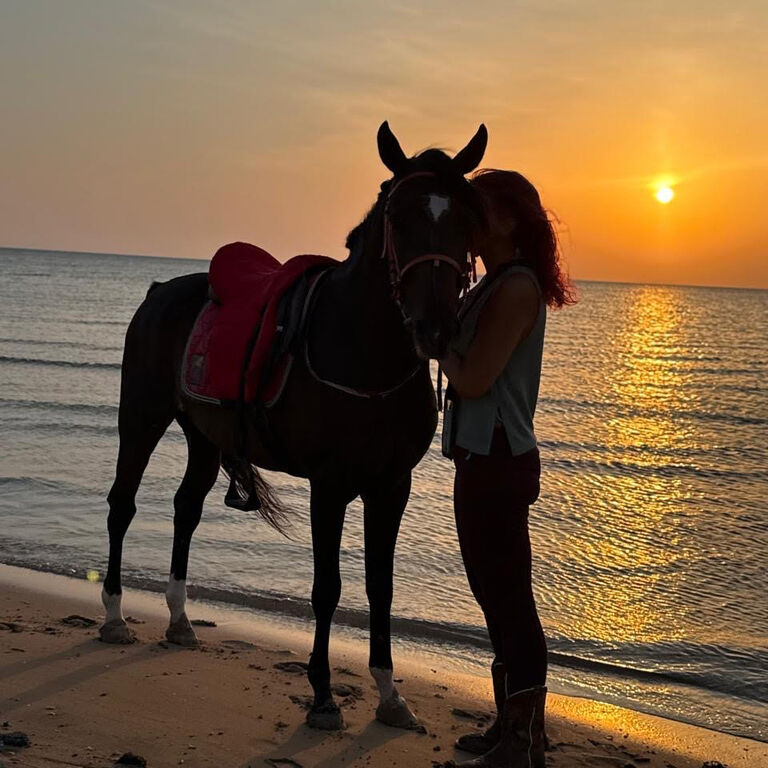 Lucky Horses Stable at Hurghada