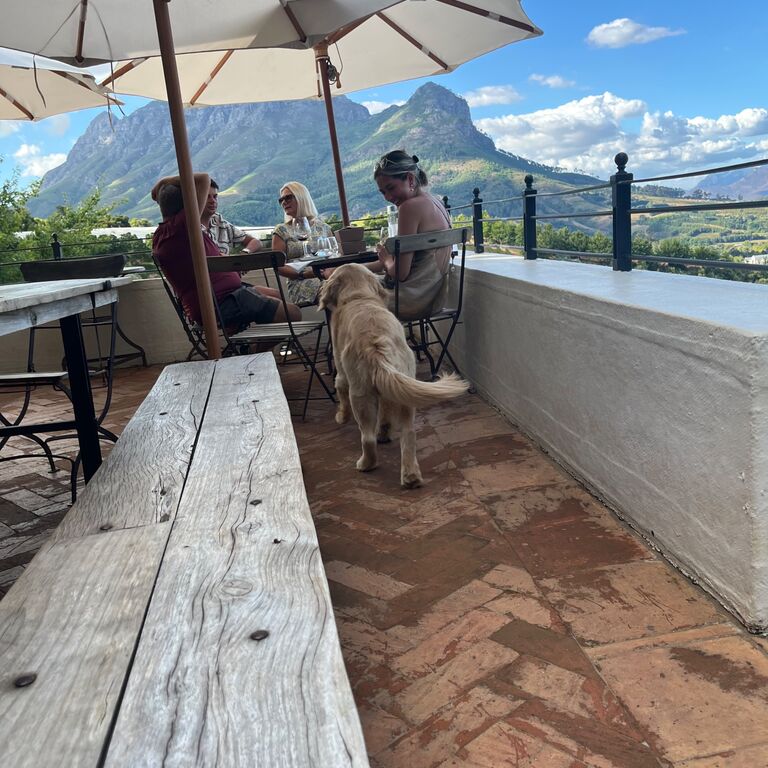 SA Wine Lovers