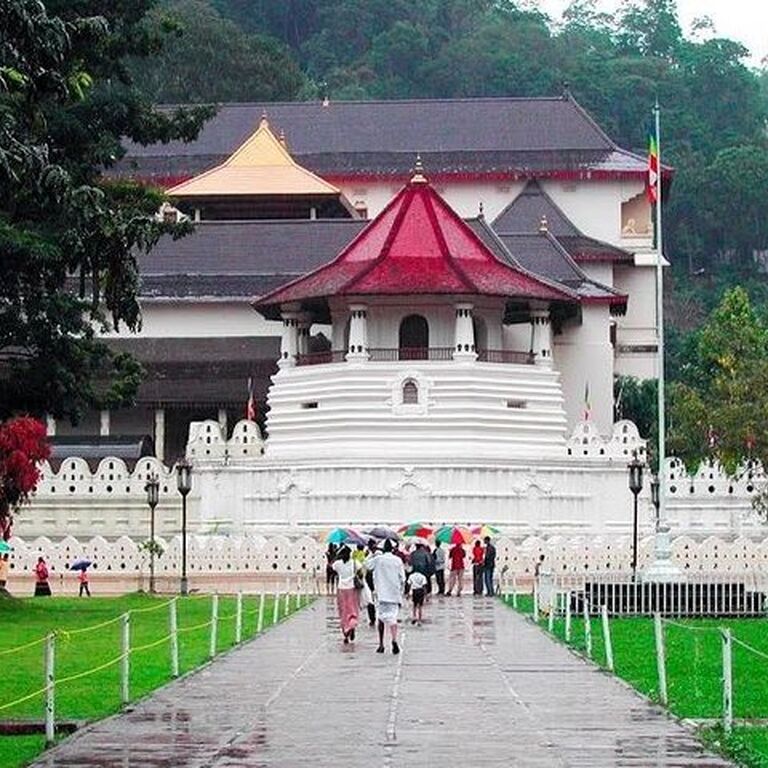 nirwana tours