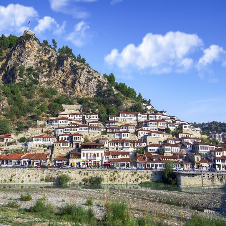 A.T.H.S. (Albanian Travel and Hospitality Service)