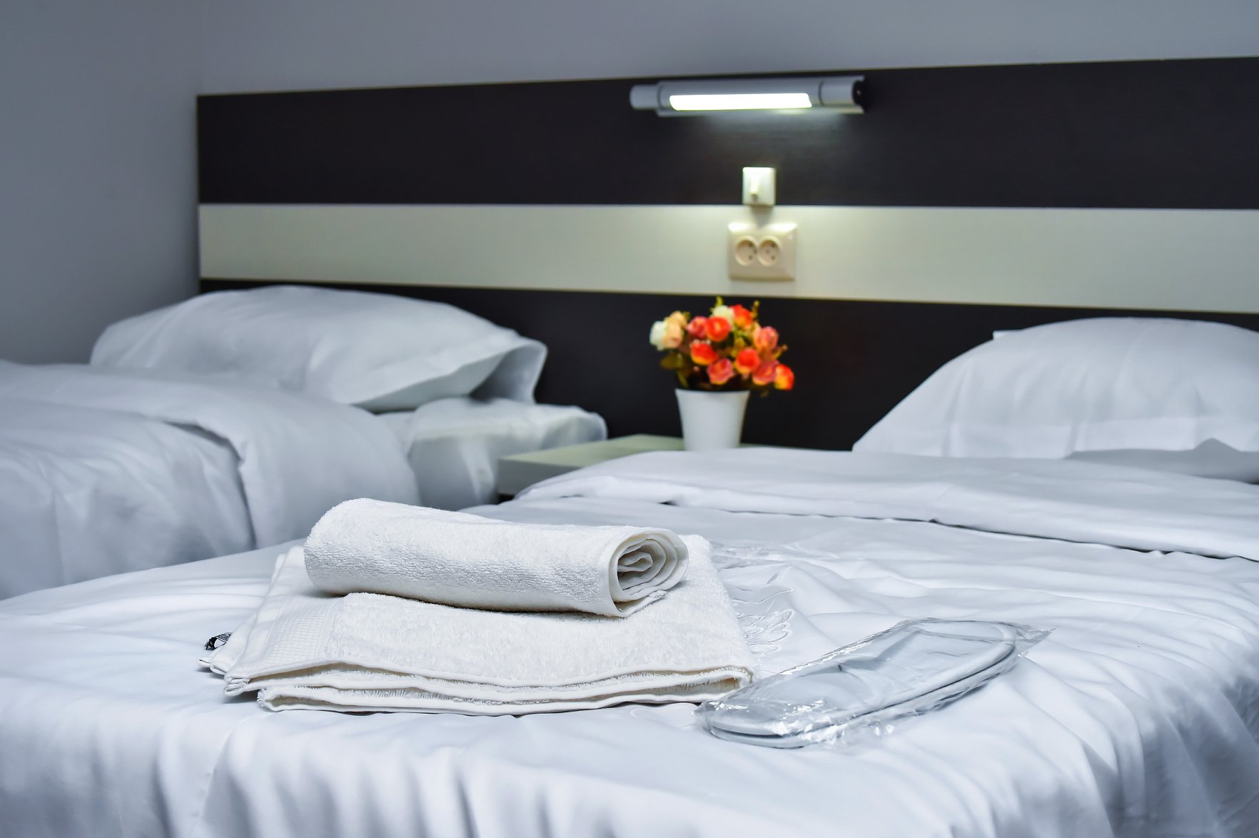 Gelati Tower Hotel-Restaurant