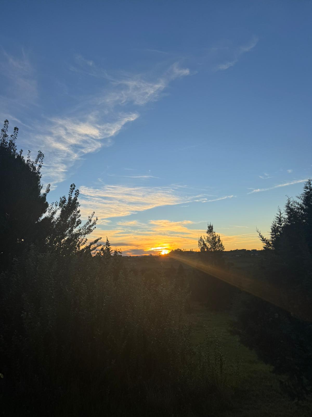 Nala Ventures and Travels