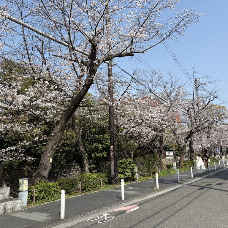 vegetarianVegan-FriendlyTOGIYA