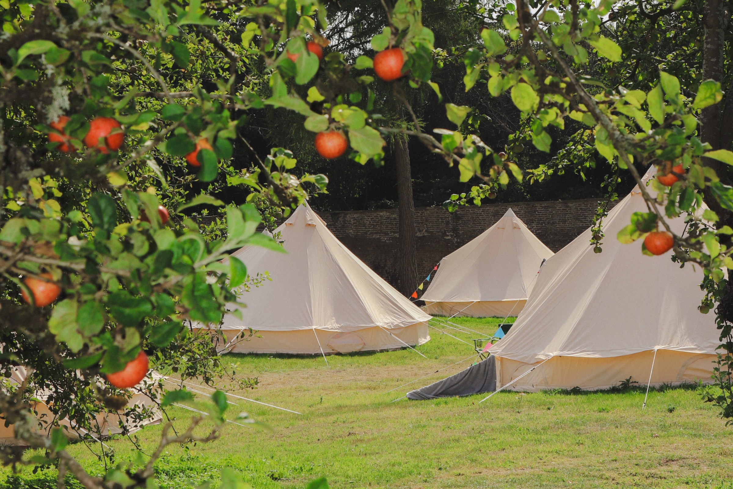 Festival Glamping At The Drum
