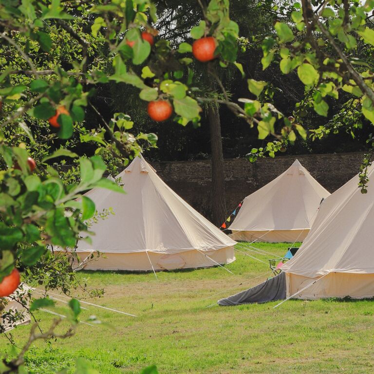 Festival Glamping At The Drum