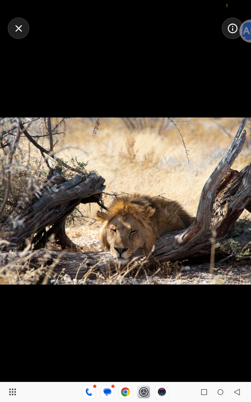 Easy travel tours and transfer