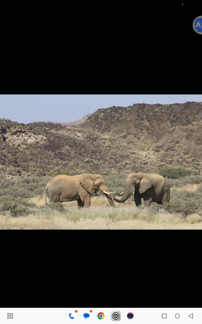 Easy travel tours and transfer