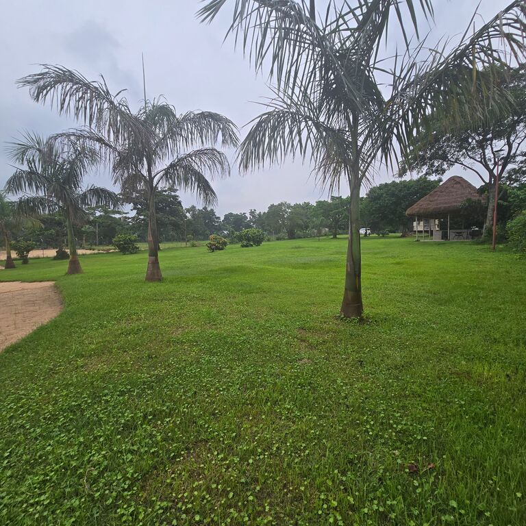 Lifecoach Eco Beach Home