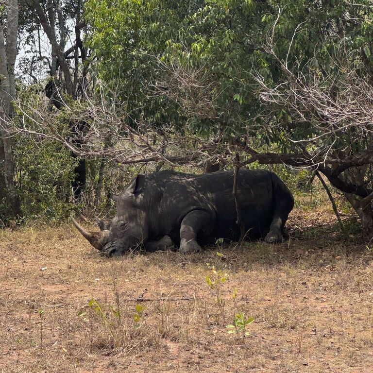 OMANGWA SAFARIS LTD
