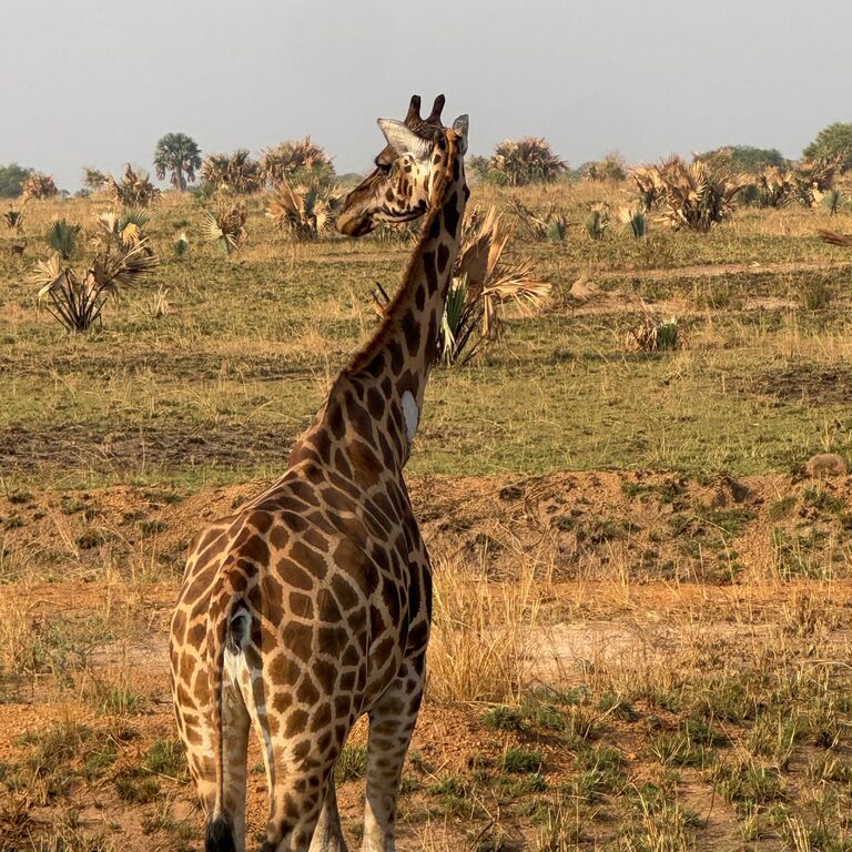 OMANGWA SAFARIS LTD