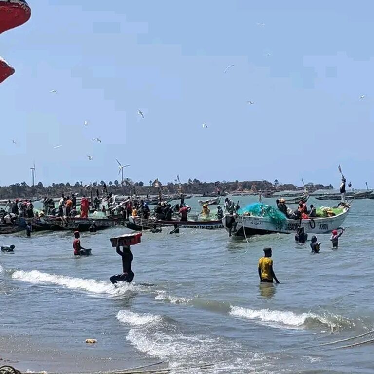 The fish Hunter's