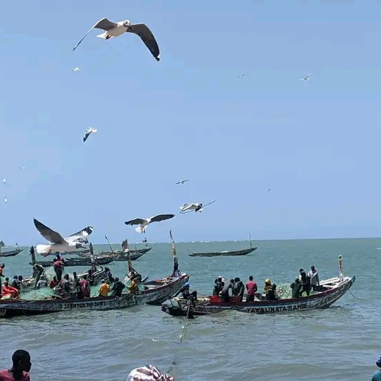 The fish Hunter's