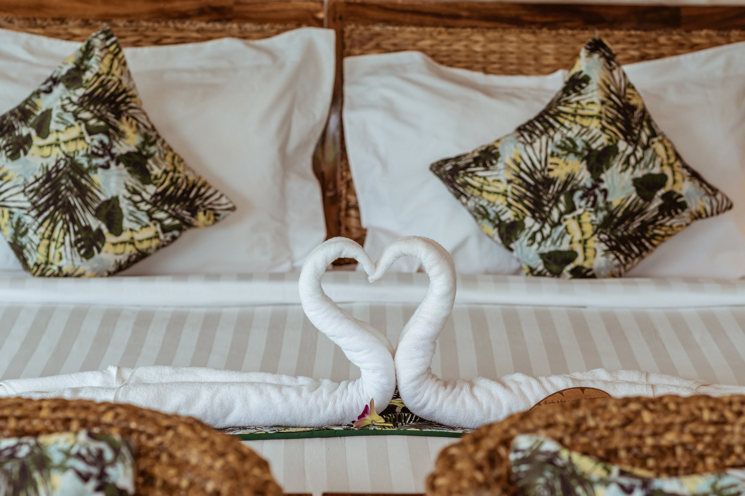 Canvas & Orchids Retreat