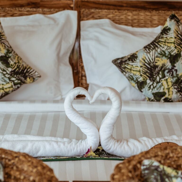 Canvas & Orchids Retreat