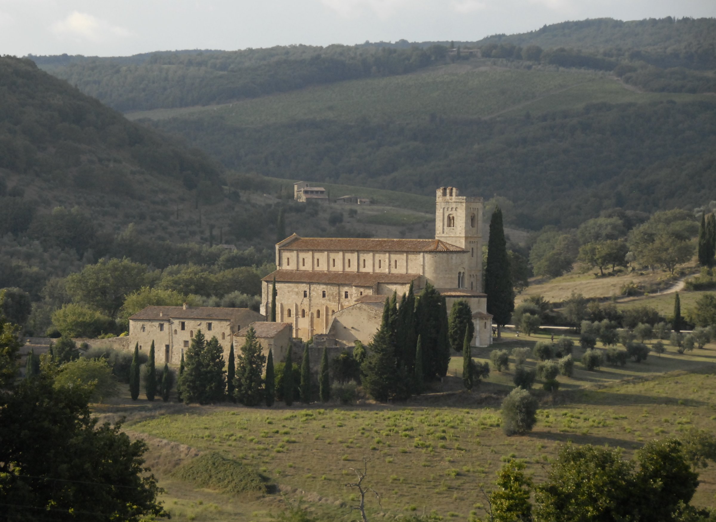 Wine All The Time Tours