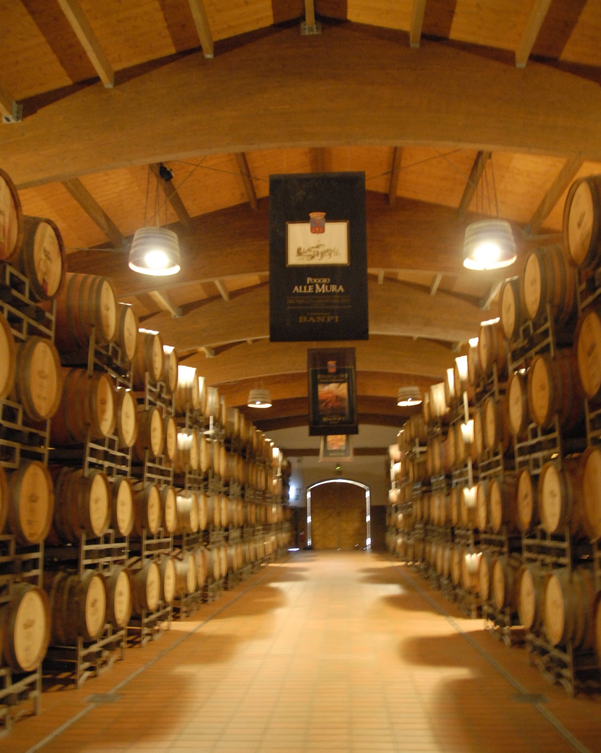 Wine All The Time Tours