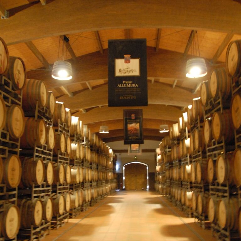Wine All The Time Tours